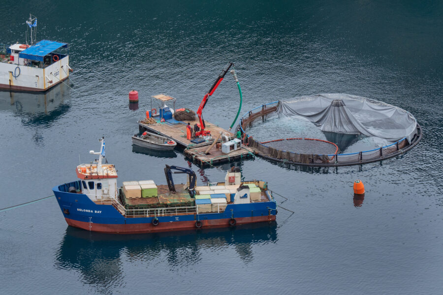 11 Aquaculture Fish Industry Intensive Farm Fishing Sea Aquatic Selene Magnolia 20201028 281245livchiusi