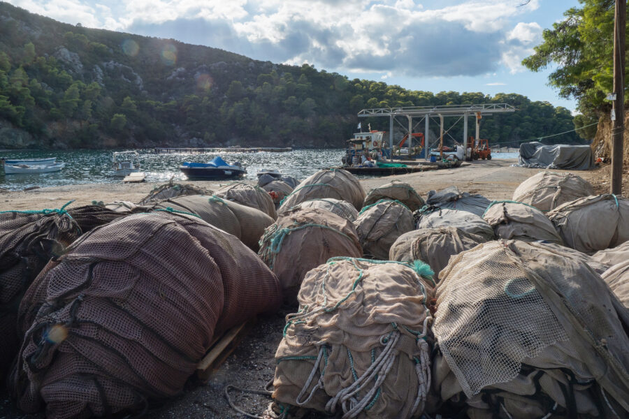 12 Aquaculture Fish Industry Intensive Farm Fishing Sea Aquatic Selene Magnolia 20201029 292249livchiusi