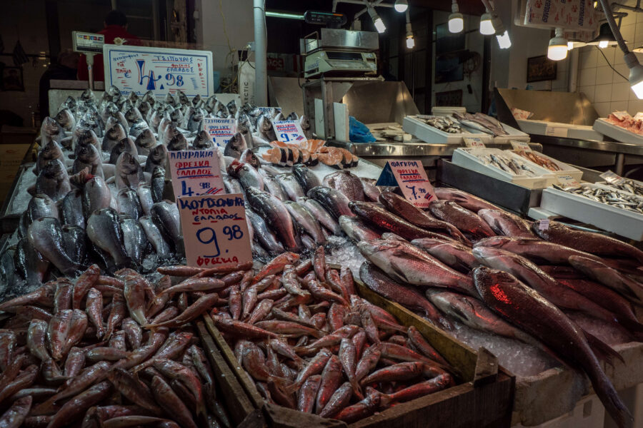 15 Aquaculture Fish Industry Intensive Farm Fishing Sea Aquatic Selene Magnolia 20201027 270732