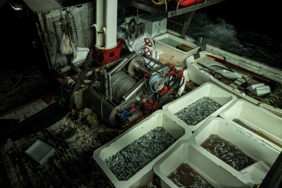 29 Aquaculture Fish Industry Intensive Farm Fishing Sea Aquatic Selene Magnolia A300802 2