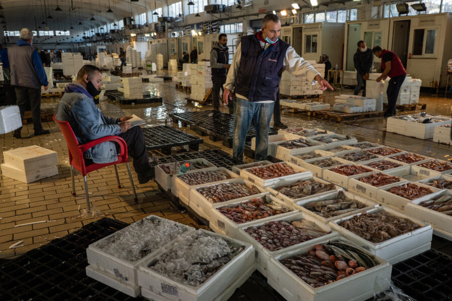 Keratsini, Greece, October 2020. A Merchant Is Selling Fish At The Biggest Fish Auction Taking Place Daily In All Greece In Pireus, The Port Of Athens. Here, Merchants Receive Fish From Fishermen And Sell It To Further Buyers.