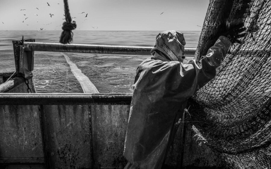 35 Aquaculture Fish Industry Intensive Farm Fishing Sea Aquatic Selene Magnolia P6013080lowres Scaled