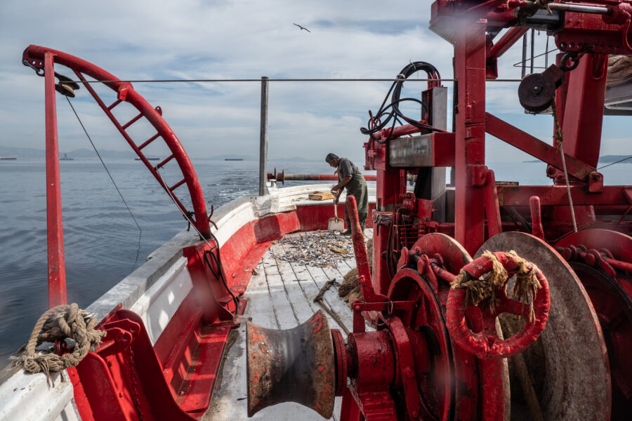 Pireus, Greece, November 2020. After Suffocating On The Deck While The Sorting Process Is Taking Place, Hundreds Of Kilos Of By Catch Are Dumped At Sea Every Day. Besides 350 Kg Average Of Targeted Catch Including Several Species, Trawling Is Highly Unsp